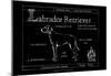 Blueprint Labrador Retriever-Ethan Harper-Mounted Art Print