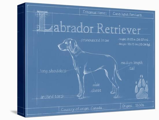 Blueprint Labrador Retriever-Ethan Harper-Stretched Canvas