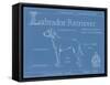 Blueprint Labrador Retriever-Ethan Harper-Framed Stretched Canvas