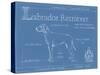 Blueprint Labrador Retriever-Ethan Harper-Stretched Canvas