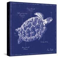 Blueprint Sea Turtle-Piper Ballantyne-Stretched Canvas