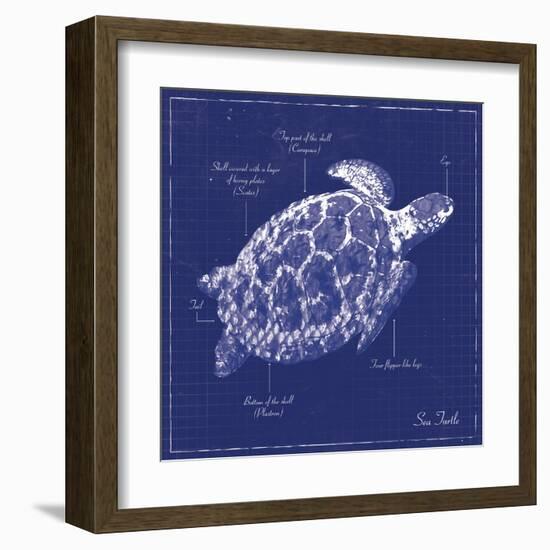 Blueprint Sea Turtle-Piper Ballantyne-Framed Art Print