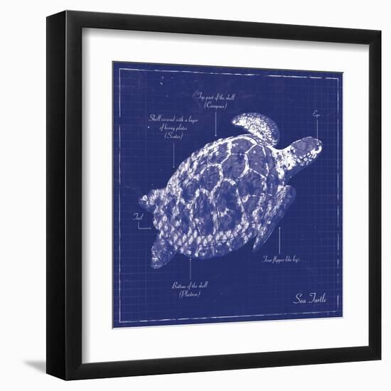 Blueprint Sea Turtle-Piper Ballantyne-Framed Art Print