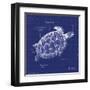 Blueprint Sea Turtle-Piper Ballantyne-Framed Art Print