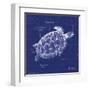 Blueprint Sea Turtle-Piper Ballantyne-Framed Art Print