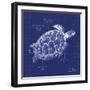 Blueprint Sea Turtle-Piper Ballantyne-Framed Art Print