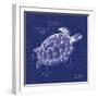 Blueprint Sea Turtle-Piper Ballantyne-Framed Art Print