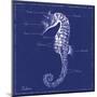 Blueprint Seahorse-Piper Ballantyne-Mounted Art Print