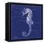 Blueprint Seahorse-Piper Ballantyne-Framed Stretched Canvas