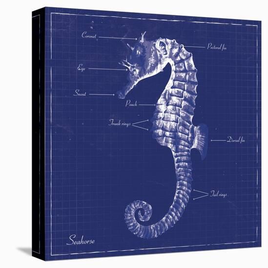 Blueprint Seahorse-Piper Ballantyne-Stretched Canvas