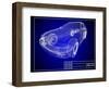 Blueprint-Yakobchuk-Framed Art Print