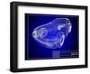 Blueprint-Yakobchuk-Framed Art Print