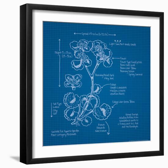 Blueprints 1-Nobleworks Inc^-Framed Art Print