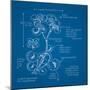 Blueprints 1-Nobleworks Inc^-Mounted Art Print