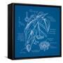 Blueprints 2-Nobleworks Inc^-Framed Stretched Canvas