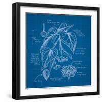 Blueprints 2-Nobleworks Inc^-Framed Art Print