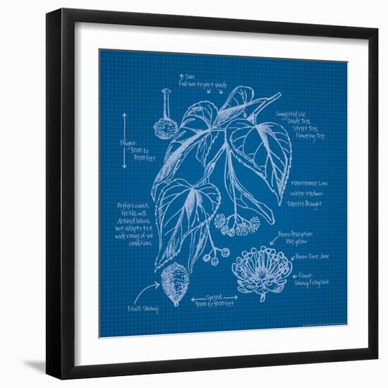 Blueprints 2-Nobleworks Inc^-Framed Art Print