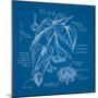 Blueprints 2-Nobleworks Inc^-Mounted Art Print