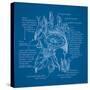 Blueprints 3-Nobleworks Inc^-Stretched Canvas