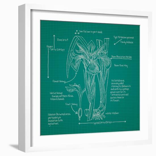 Blueprints 4-Nobleworks Inc^-Framed Art Print