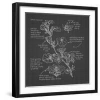 Blueprints 7-Nobleworks Inc^-Framed Art Print