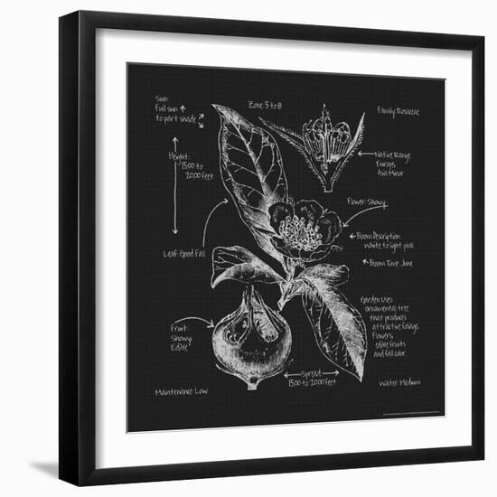 Blueprints 8-Nobleworks Inc^-Framed Art Print