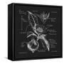 Blueprints 8-Nobleworks Inc^-Framed Stretched Canvas