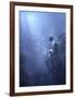 Blues-Christophe Kiciak-Framed Giclee Print