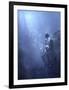 Blues-Christophe Kiciak-Framed Giclee Print