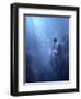 Blues-Christophe Kiciak-Framed Photographic Print