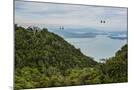 Wood Mount