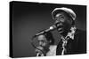 Bluesman Muddy Waters (1915-1983) on Stage in 1982-null-Stretched Canvas