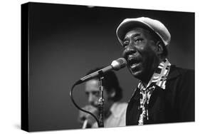 Bluesman Muddy Waters (1915-1983) on Stage in 1982-null-Stretched Canvas