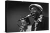 Bluesman Muddy Waters (1915-1983) on Stage in 1982-null-Stretched Canvas