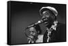 Bluesman Muddy Waters (1915-1983) on Stage in 1982-null-Framed Stretched Canvas