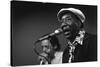 Bluesman Muddy Waters (1915-1983) on Stage in 1982-null-Stretched Canvas