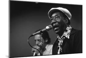 Bluesman Muddy Waters (1915-1983) on Stage in 1982-null-Mounted Photo