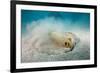 Bluespotted Ribbontail Stingray (Taeniura Lymma)-Reinhard Dirscherl-Framed Photographic Print