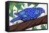 Bluest Bird-Ric Stultz-Framed Stretched Canvas