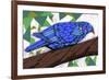 Bluest Bird-Ric Stultz-Framed Giclee Print