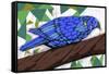 Bluest Bird-Ric Stultz-Framed Stretched Canvas