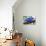 Bluest Bird-Ric Stultz-Giclee Print displayed on a wall