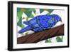 Bluest Bird-Ric Stultz-Framed Giclee Print