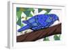 Bluest Bird-Ric Stultz-Framed Giclee Print