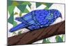 Bluest Bird-Ric Stultz-Mounted Giclee Print