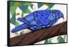 Bluest Bird-Ric Stultz-Framed Stretched Canvas