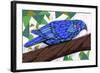 Bluest Bird-Ric Stultz-Framed Giclee Print