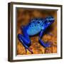 Bluetiful - preparatory-Ben Heine-Framed Photographic Print