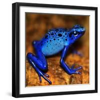 Bluetiful - preparatory-Ben Heine-Framed Photographic Print