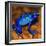 Bluetiful - preparatory-Ben Heine-Framed Photographic Print